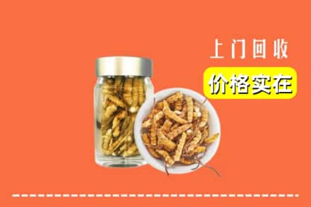 收购资讯:大连市瓦房店回收散虫草