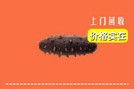 收购资讯:大连市瓦房店回收海参