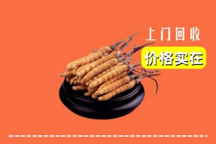大连市瓦房店回收冬虫夏草