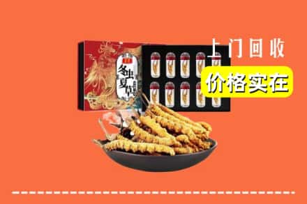 大连市瓦房店回收虫草